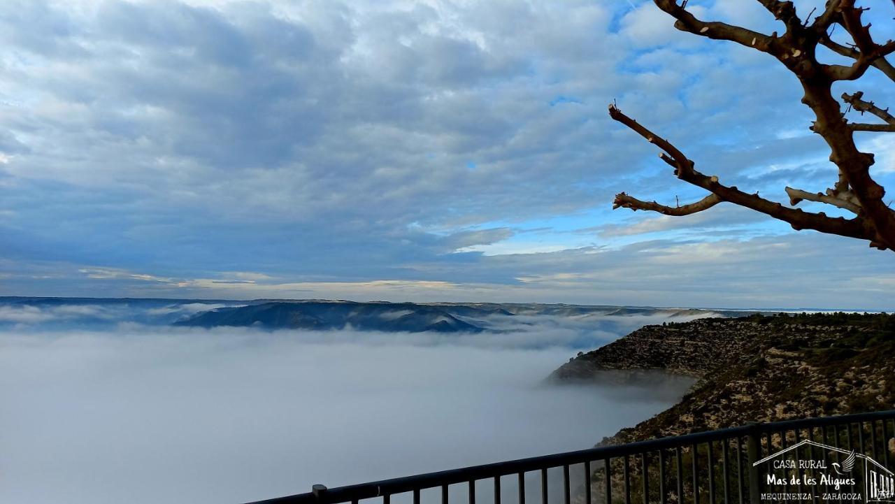 Casa Rural Mas De Les Aligues Mequinenza Dış mekan fotoğraf